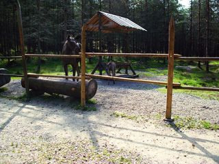 Elchfarm in Ed